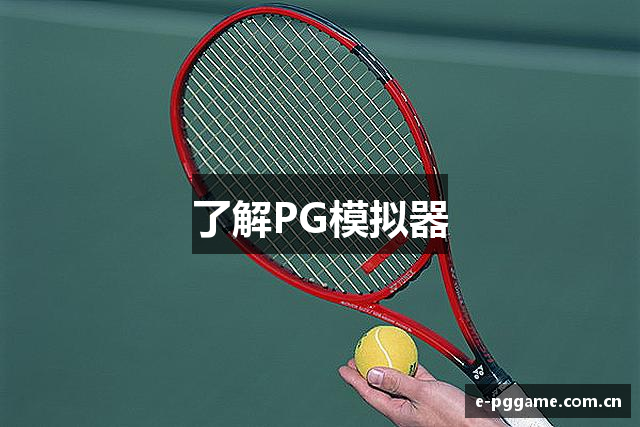 了解PG模拟器